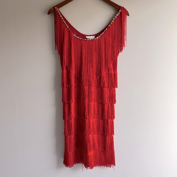 California Costumes Dresses & Skirts - Red fringe sequined flapper dress